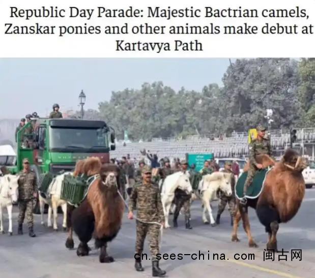 印度阅兵首次派出动物方队