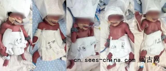 24岁女子成功诞下5胞胎