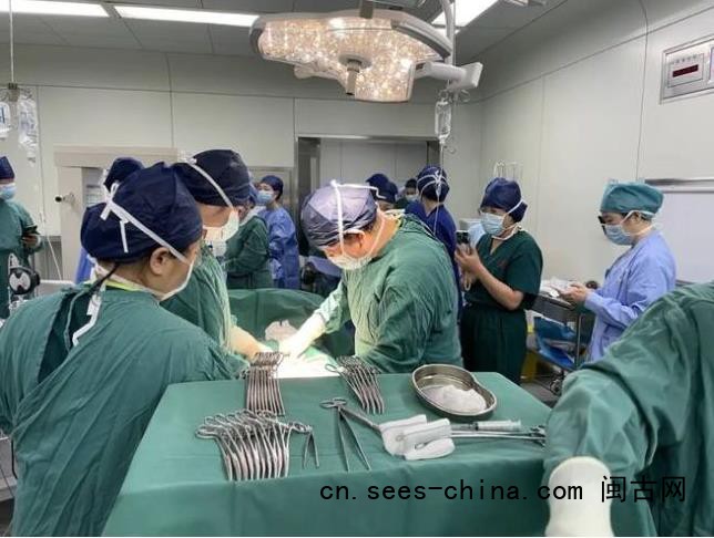 24岁女子成功诞下5胞胎