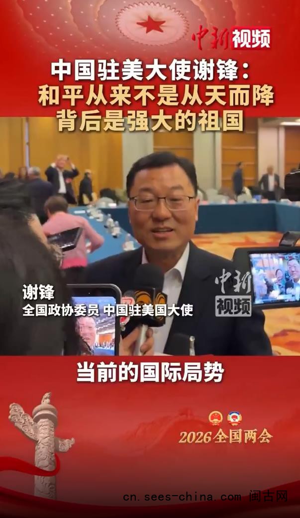 驻美大使:和平从来不是从天而降