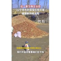 22个月大宝宝躺玉米芯上晒太阳 究竟真相是什么？