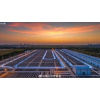 中国变压器卖爆了，背后真相让人惊愕！