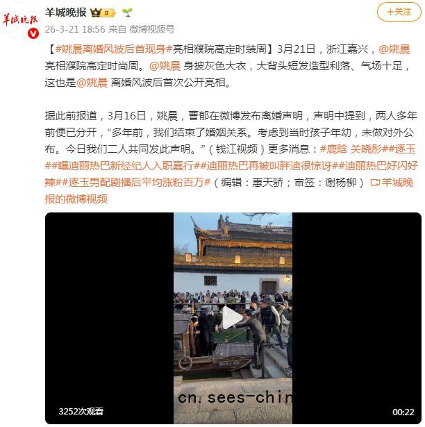 姚晨离婚风波后首次公开亮相