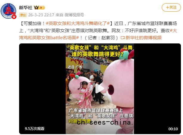 &ldquo;英歌女孩&rdquo;和大湾鸡斗舞萌化了 