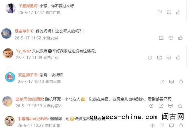 广东暴雨天蟑螂成群出动