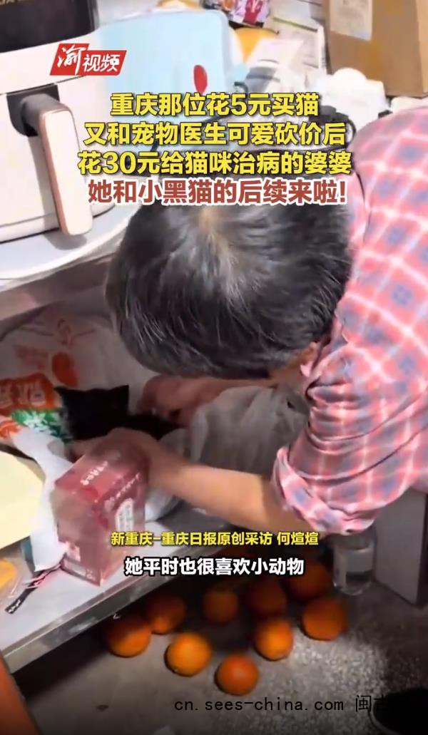 婆婆花5元买的小黑猫身价涨到85元
