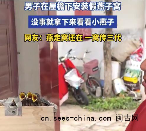 男子在屋檐下安装假燕子窝
