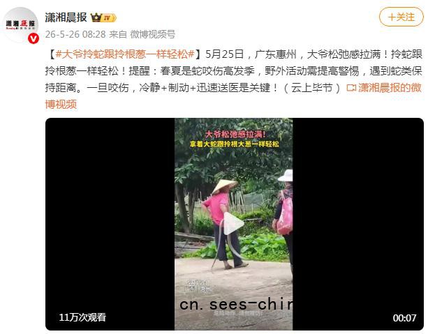 大爷拎蛇跟拎根葱一样轻松