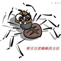 站长SEO优化之网站优化时如何去吸引蜘蛛？