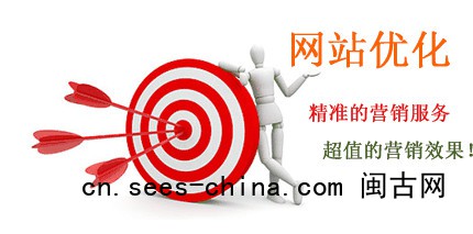 网站优化服务