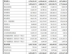 日赚3.7亿元 科创板最大IPO要来了 存控股归母净利润大幅增长至333.79亿元