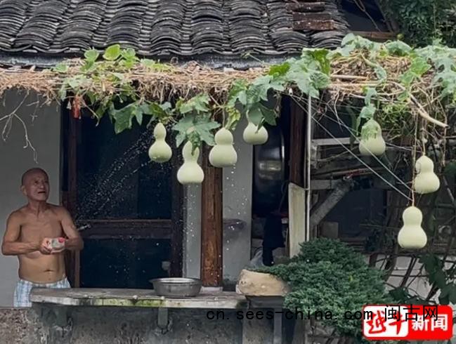 现实版&ldquo;爷爷和7个葫芦娃&rdquo;走红