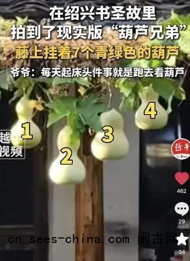 现实版&ldquo;爷爷和7个葫芦娃&rdquo;走红
