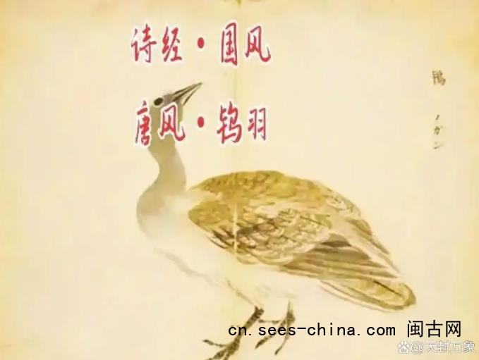 这届学生的名字都很个性