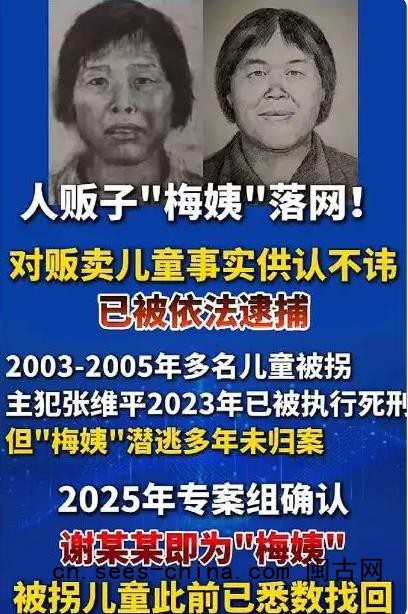 “梅姨”被抓时带着一个男孩生活
