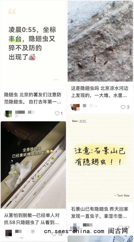 北方多地出现&ldquo;飞行的硫酸