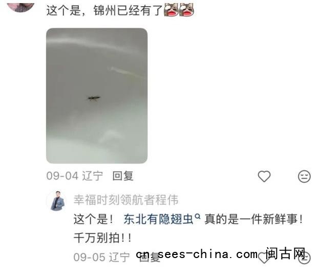北方多地出现&ldquo;飞行的硫酸
