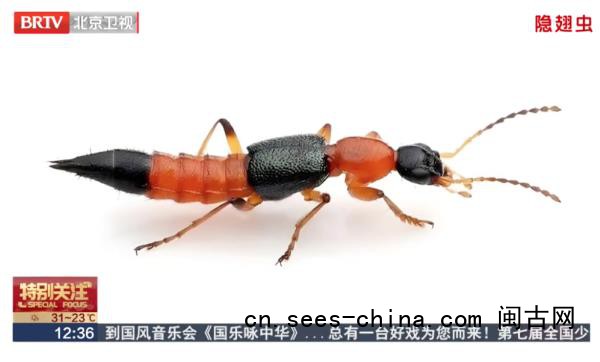 北方多地出现&ldquo;飞行的硫酸