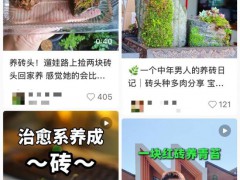 “养砖头”为什么戳中年轻人，这届网友的脑洞真的绝了