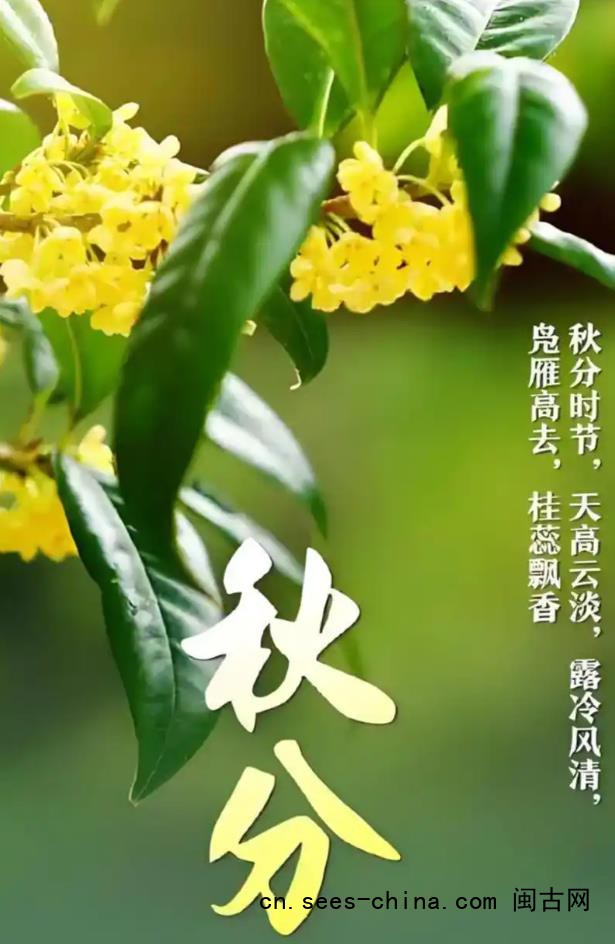 今日秋分