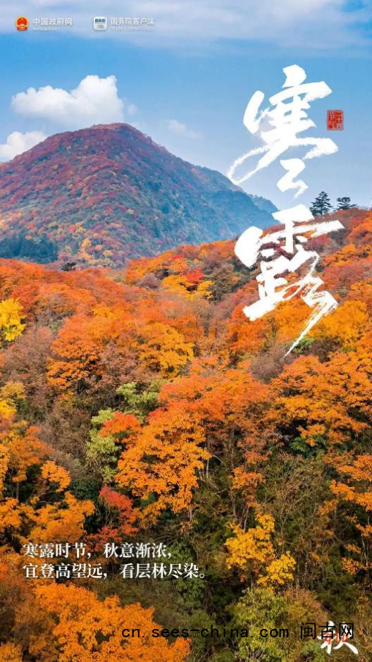今日寒露