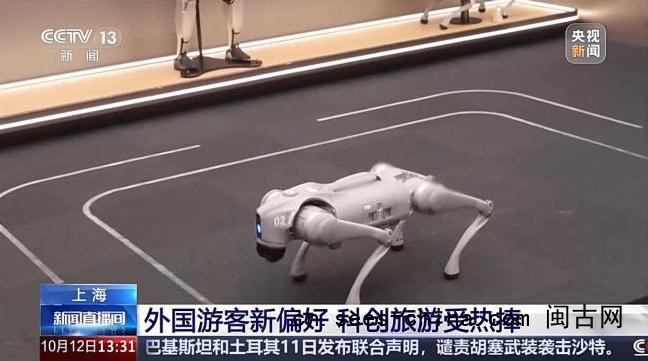 外国游客爱上中国科技