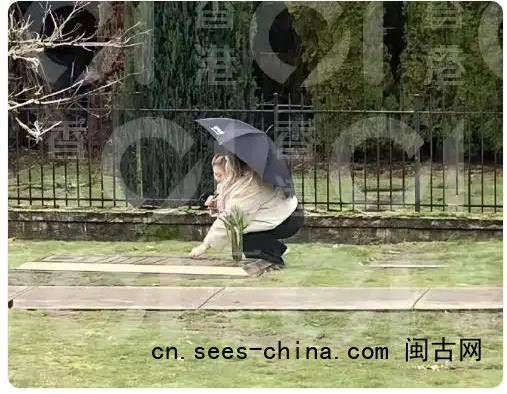 郑欣宜在沈殿霞墓前落泪