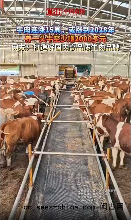 养一头牛至少赚2000多元
